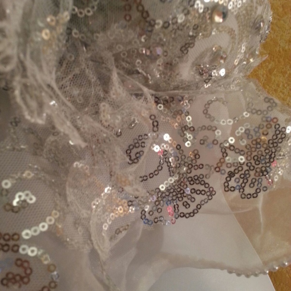 Silver Sequin Organza Crystal Babydoll Crop Top - Picture 5 of 6